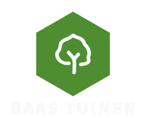 Baastuinen